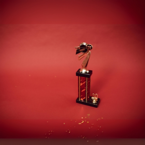 Recognition & Official Partnership